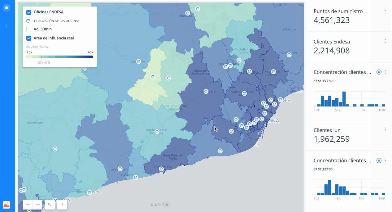 Endesa asset